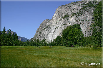 Blick auf El Capitan